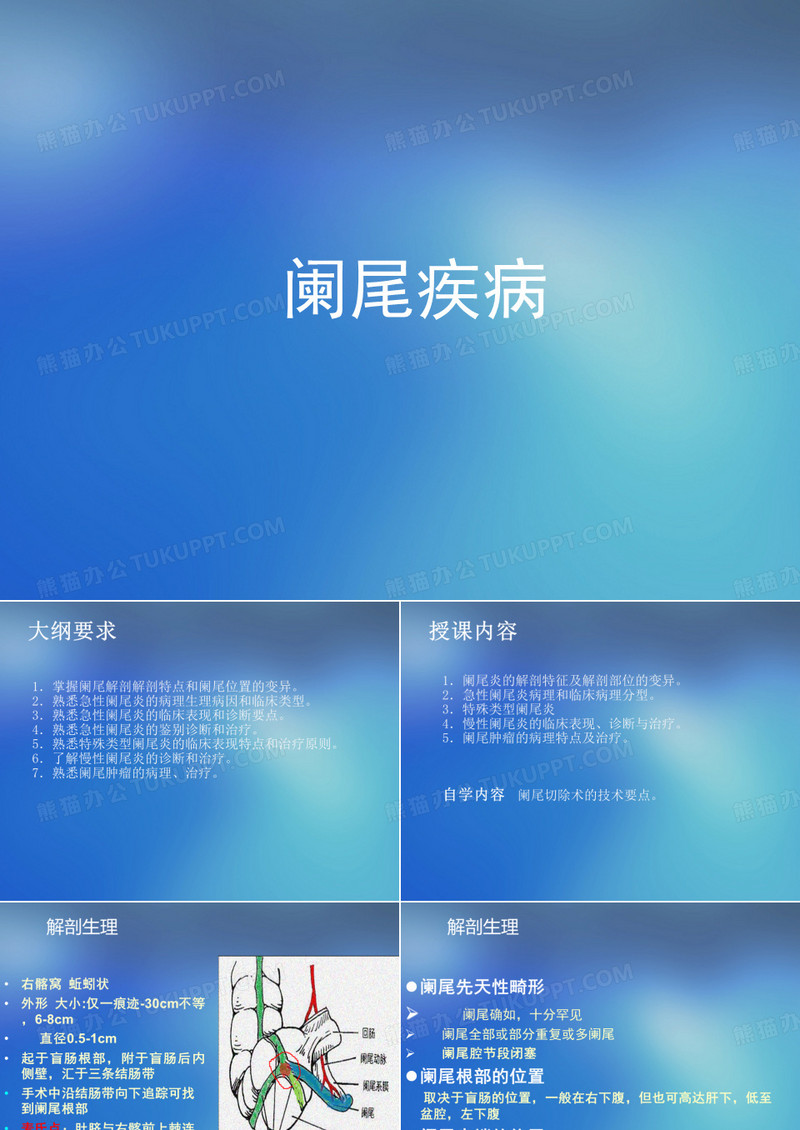 ·外科学PPT课件 阑尾炎 阑尾疾病急性阑尾炎慢性阑尾炎