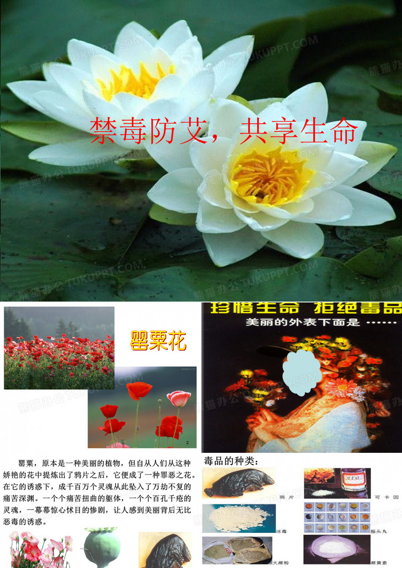 《禁毒防艾》课件.