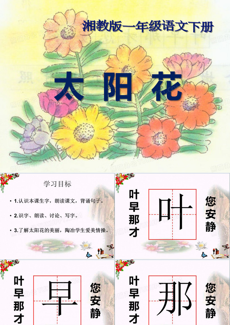 《太阳花》PPT课件