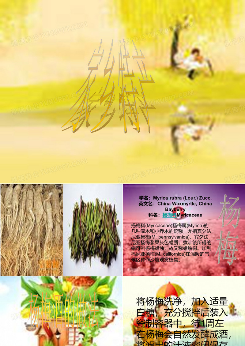 家乡特产PPT课件