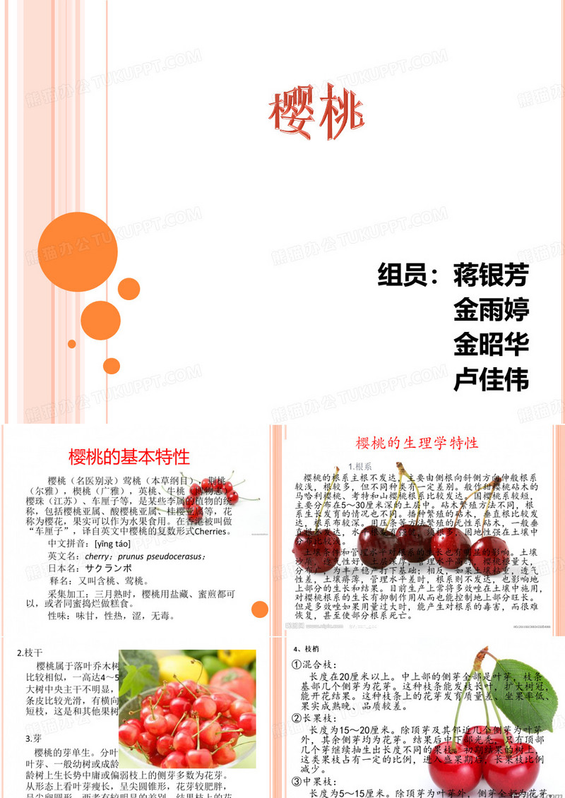樱桃