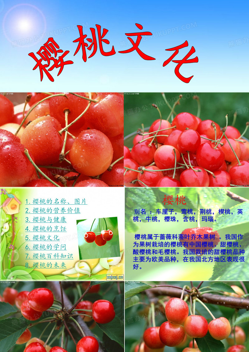 樱桃文化