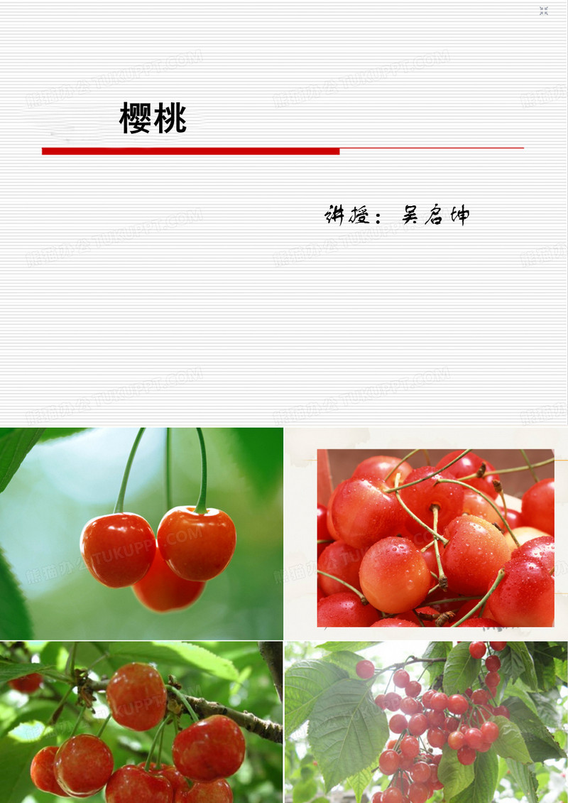 国画 樱桃