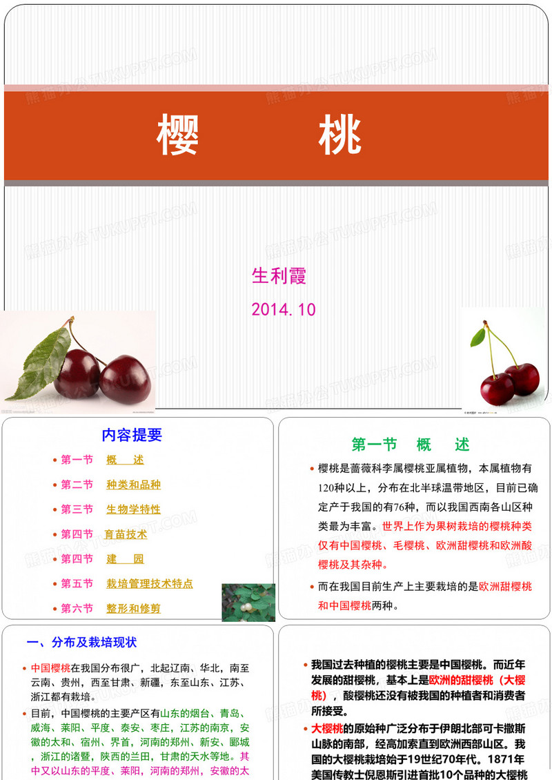 樱桃2