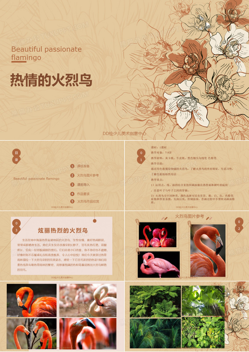 美术教案课件—火烈鸟