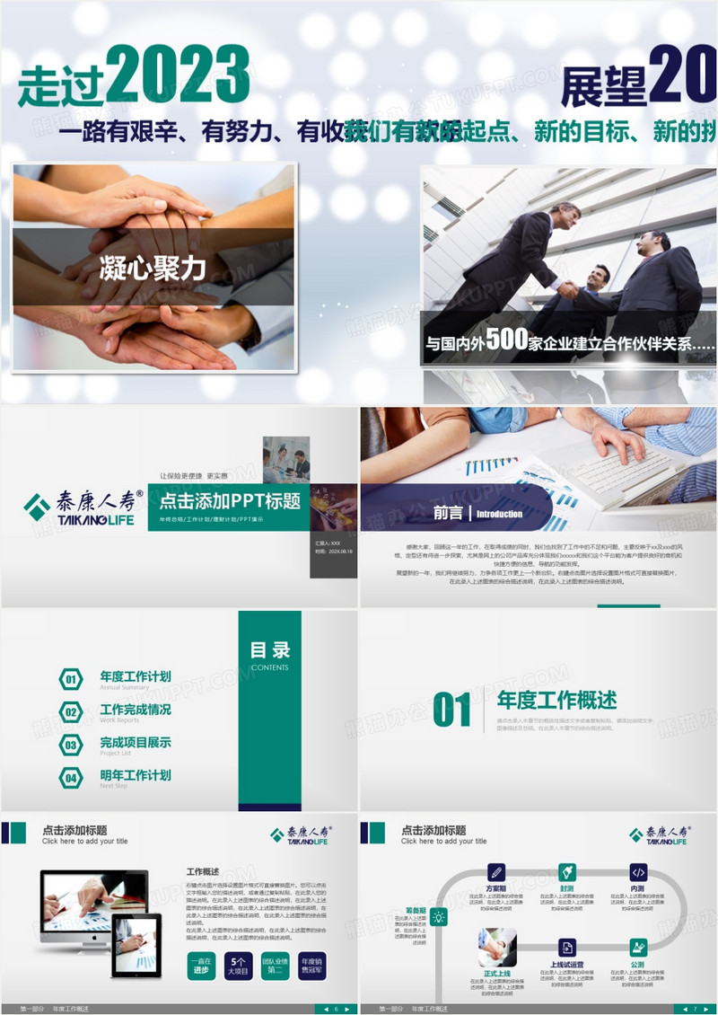 2024泰康人寿保险理财工作计划PPT模板