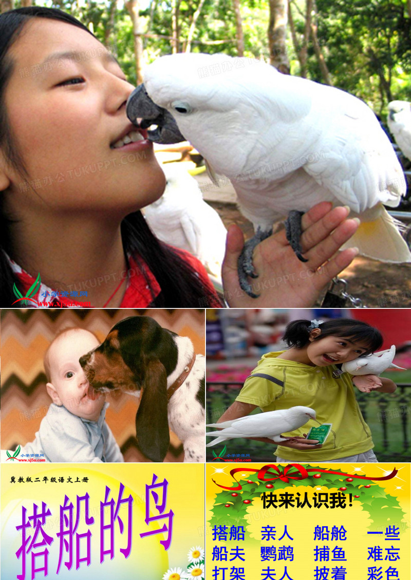 搭船的鸟