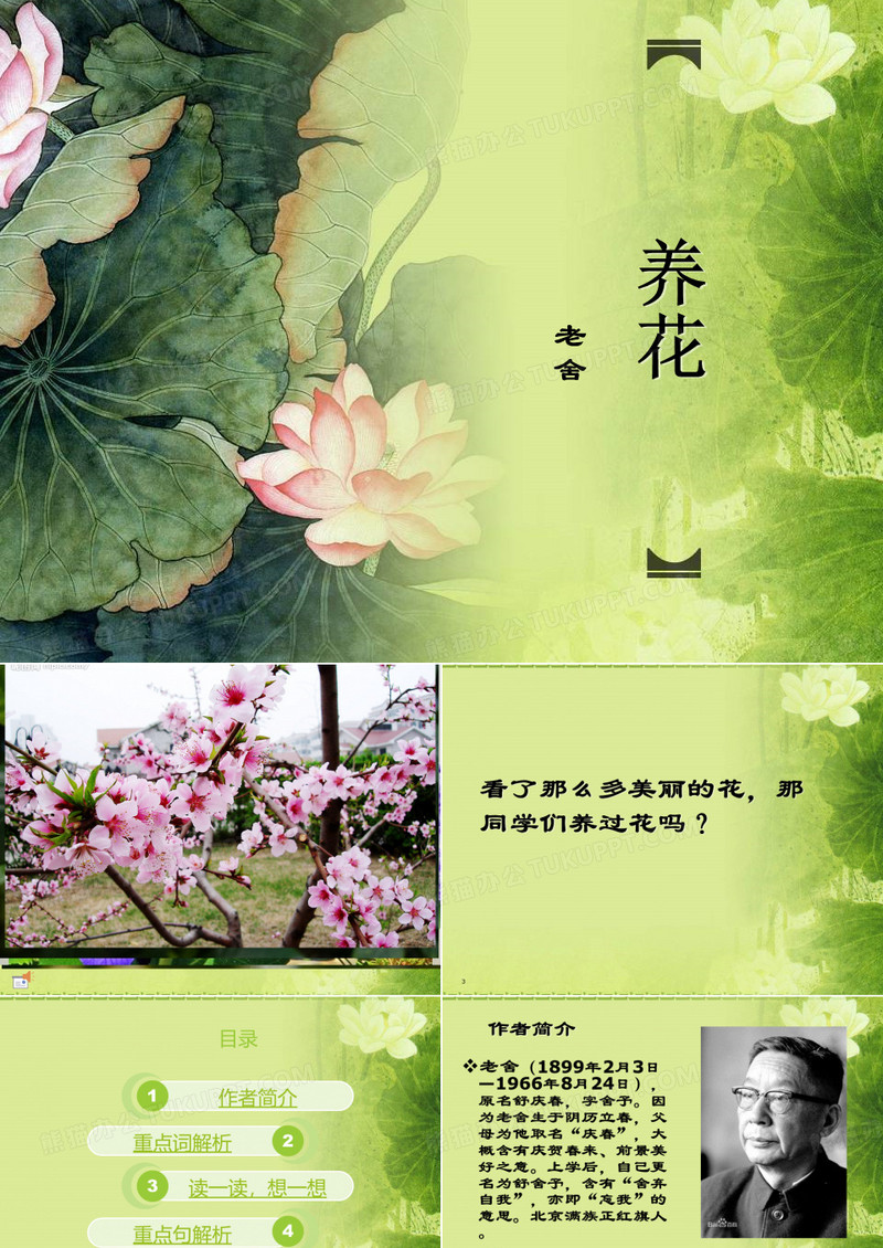 养花课件