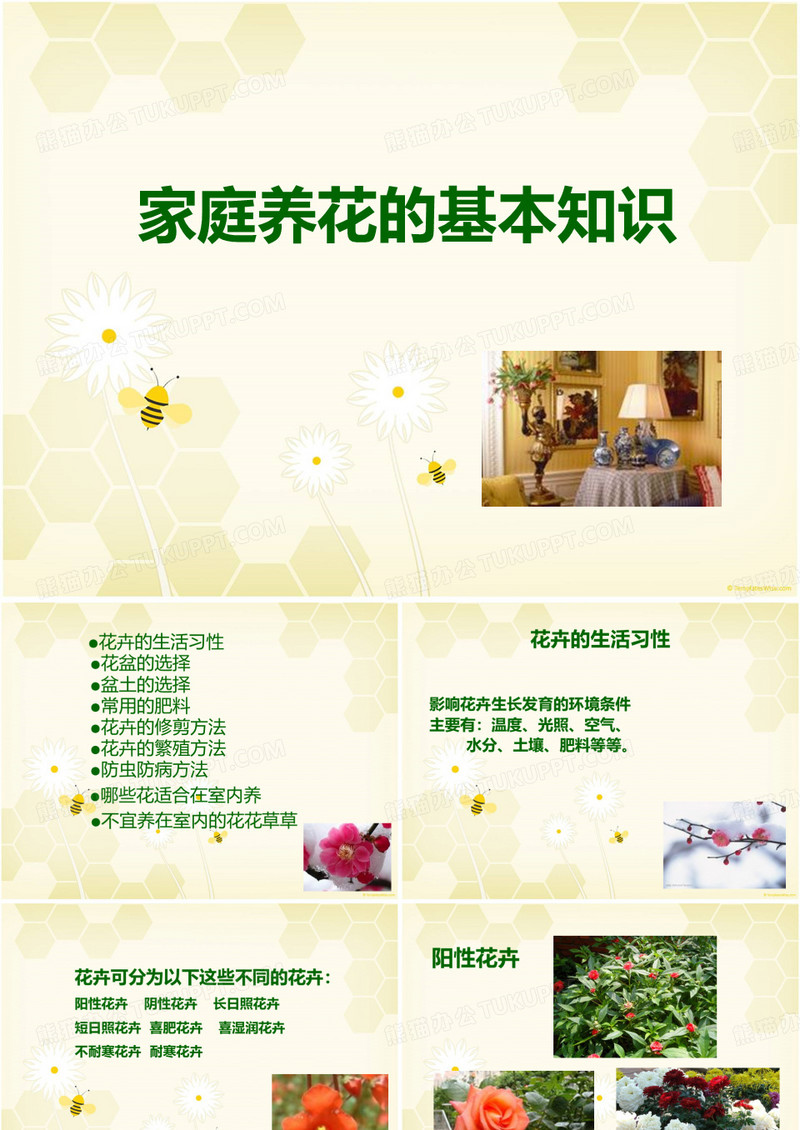 养花课件