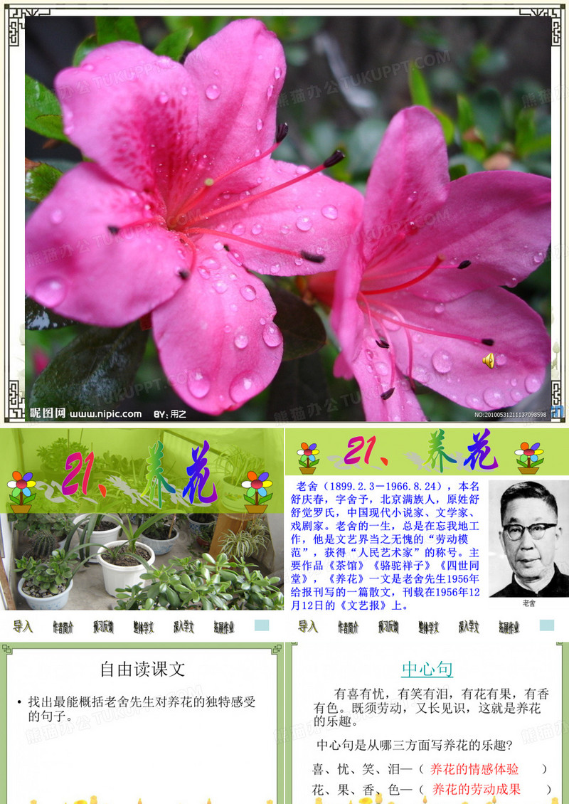 21养花
