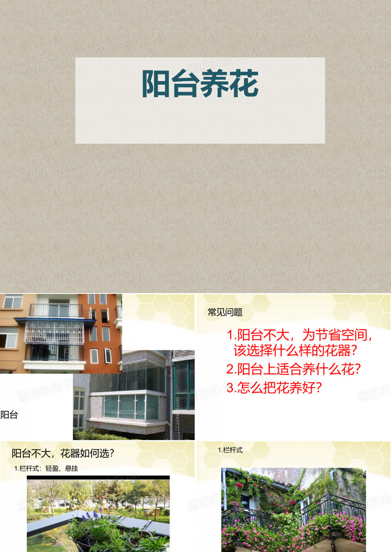 阳台养花