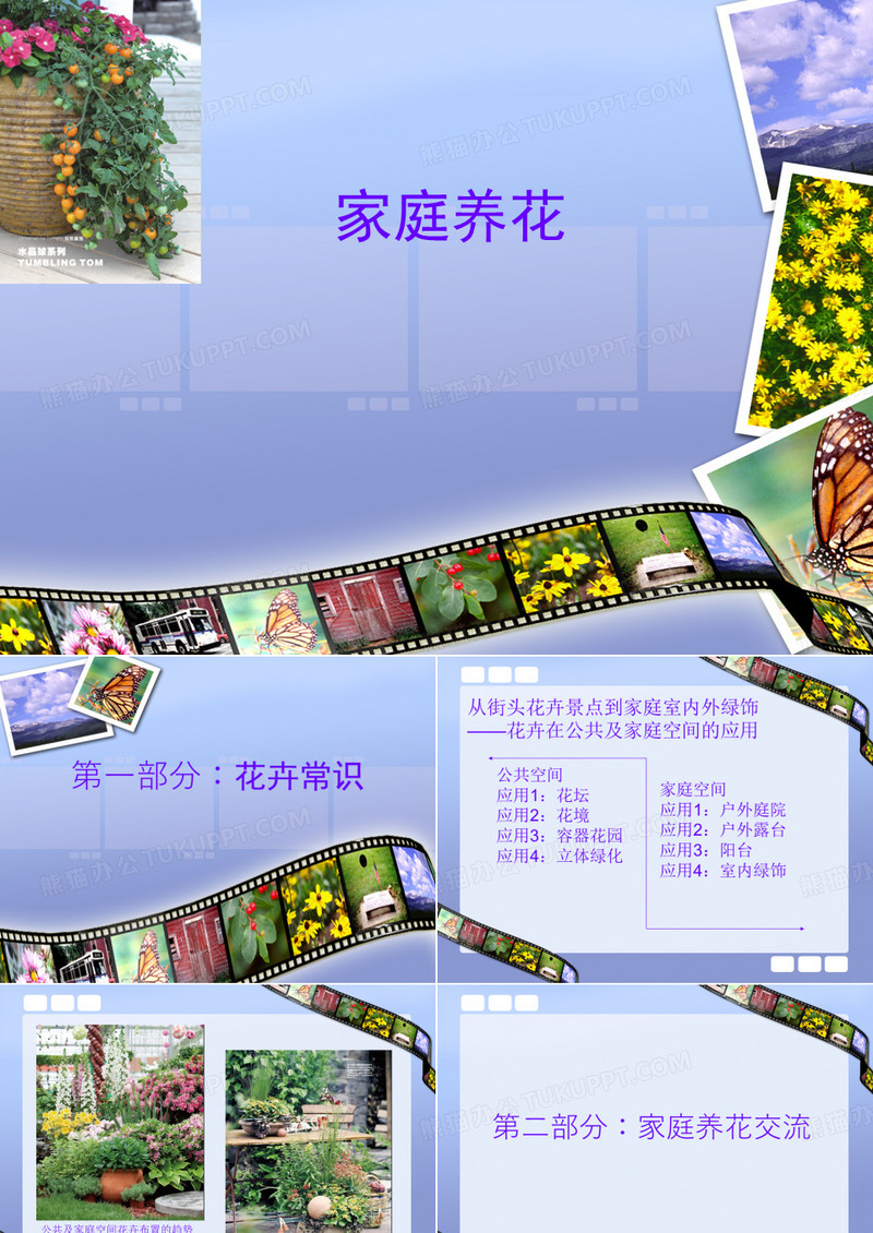 家庭养花