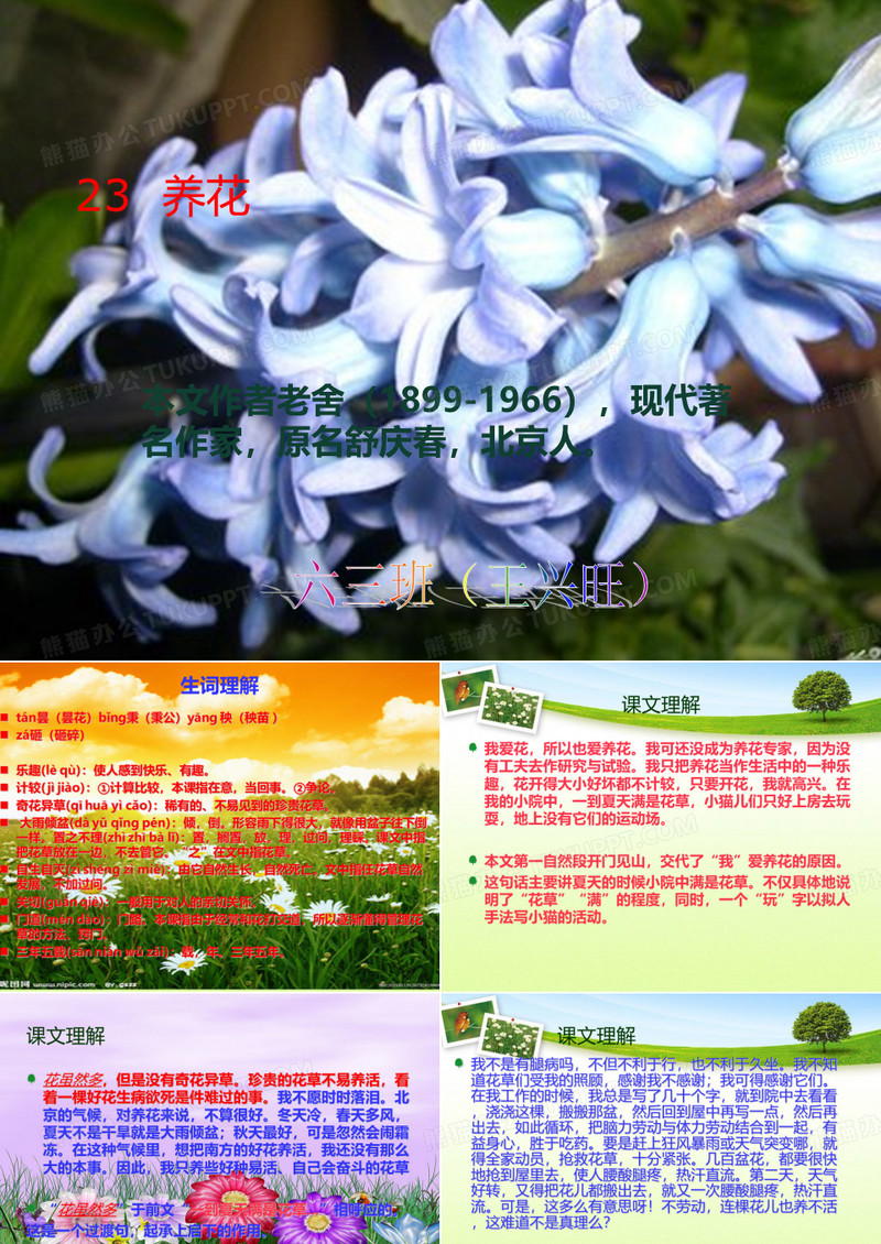23养花