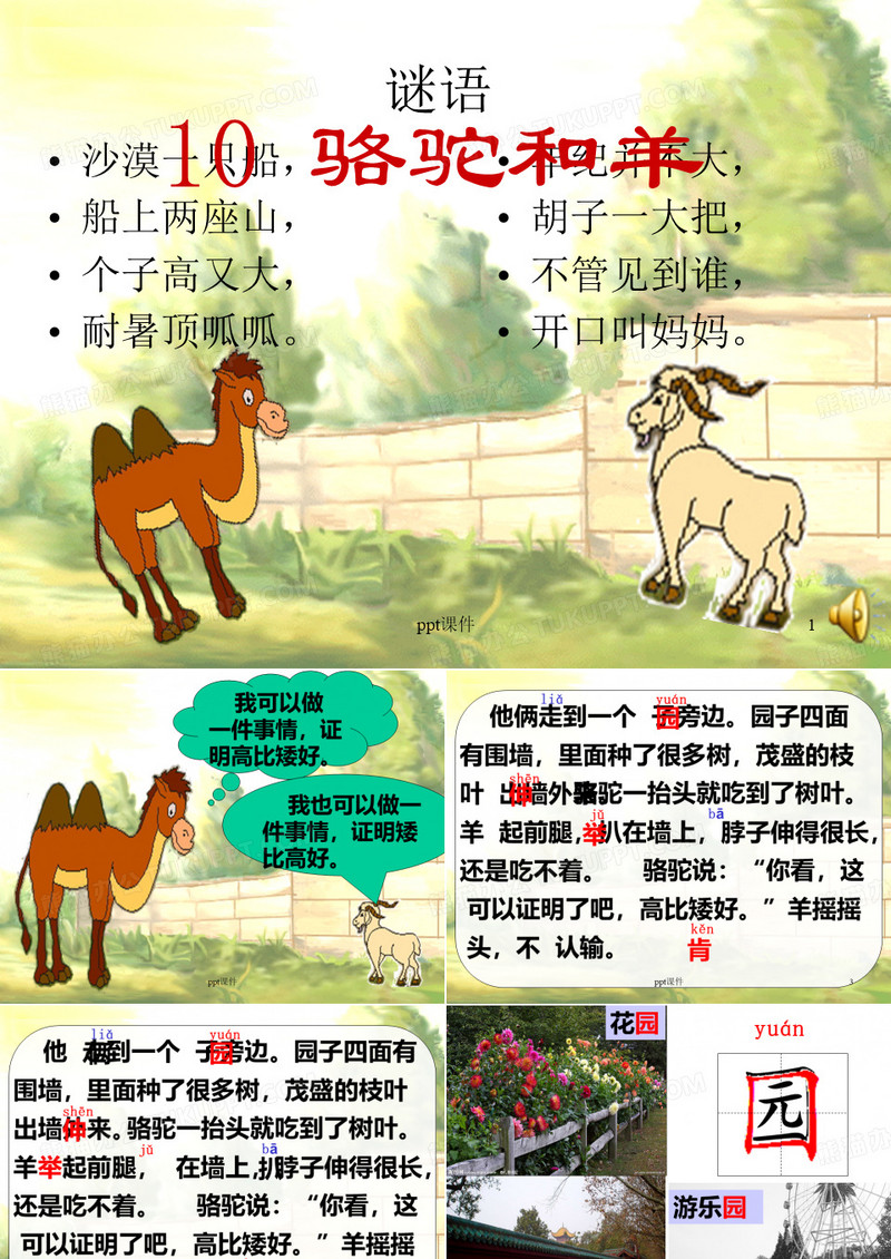《骆驼和羊》  ppt课件