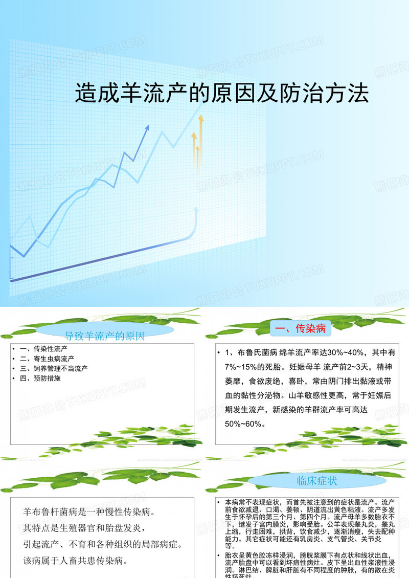 引起羊流产原因及防治方法