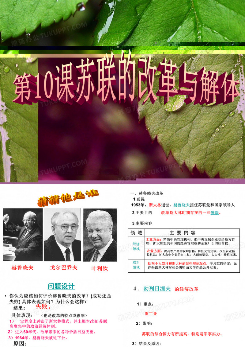 《苏联的改革与解体》