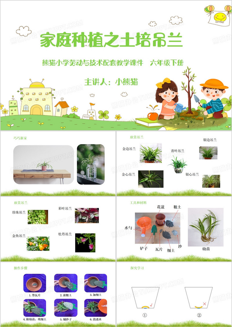 绿色简约风家庭种植之土培吊兰PPT模板