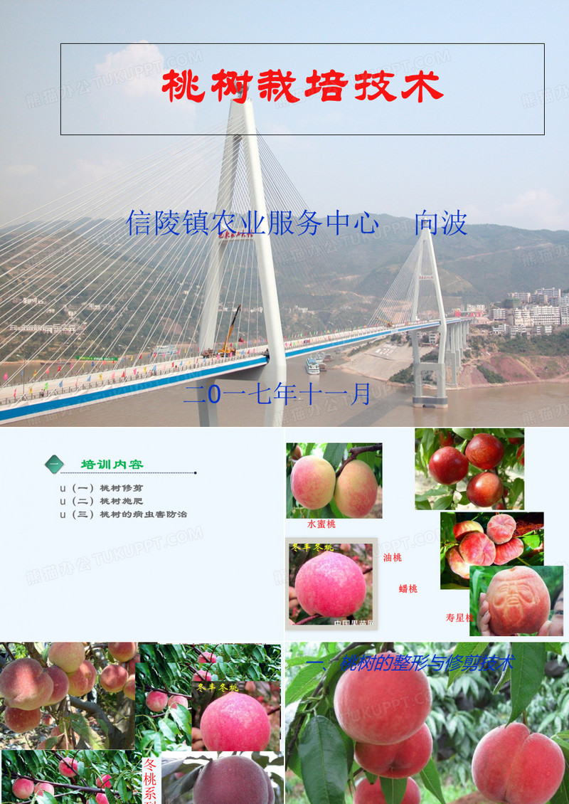 桃树的栽培技术