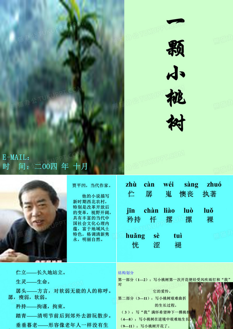 一颗小桃树