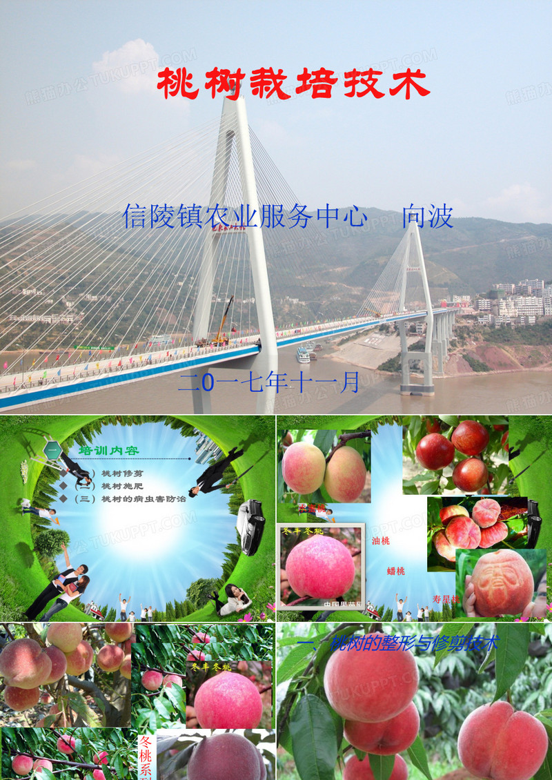 桃树的栽培技术