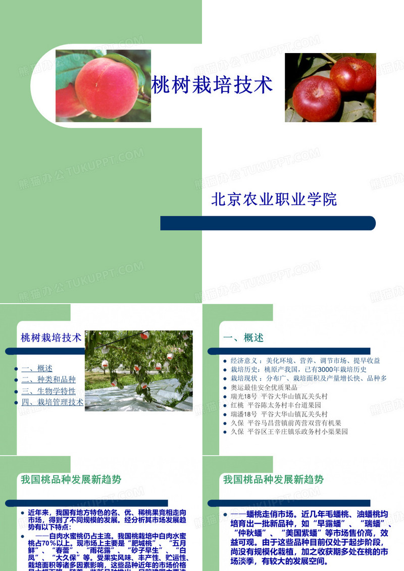 桃树栽培技术