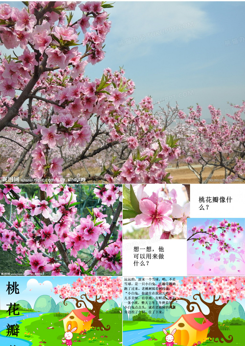 桃树下的小白兔
