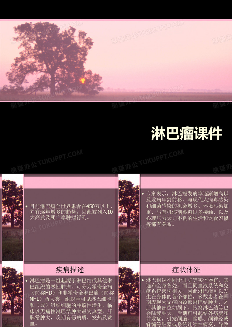 淋巴瘤的课件