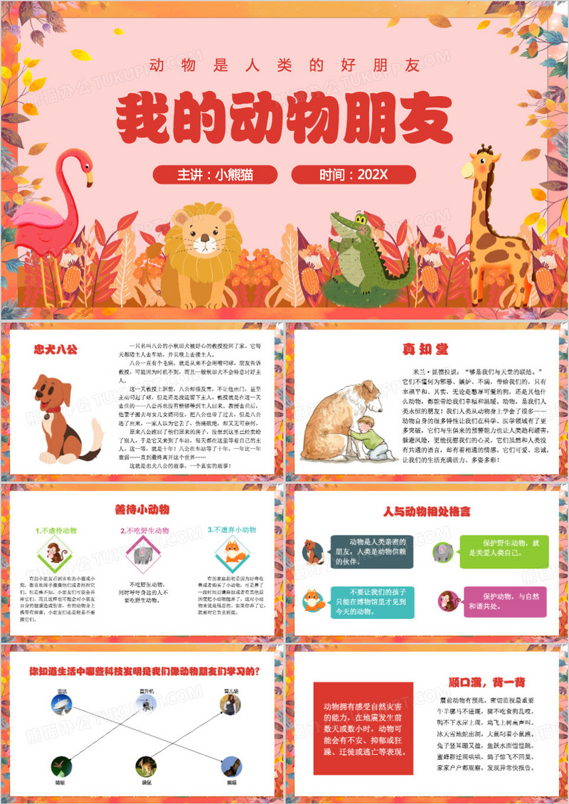 我的动物朋友PPT模板