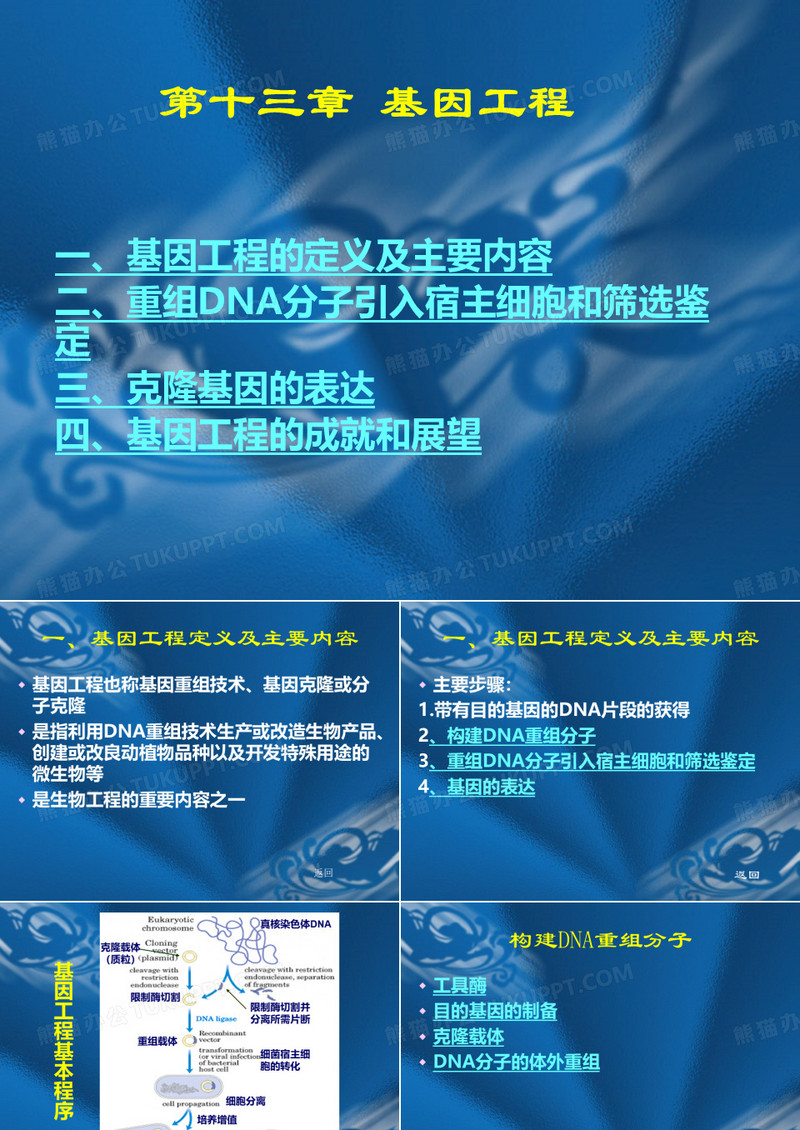 基因工程与蛋白质工程