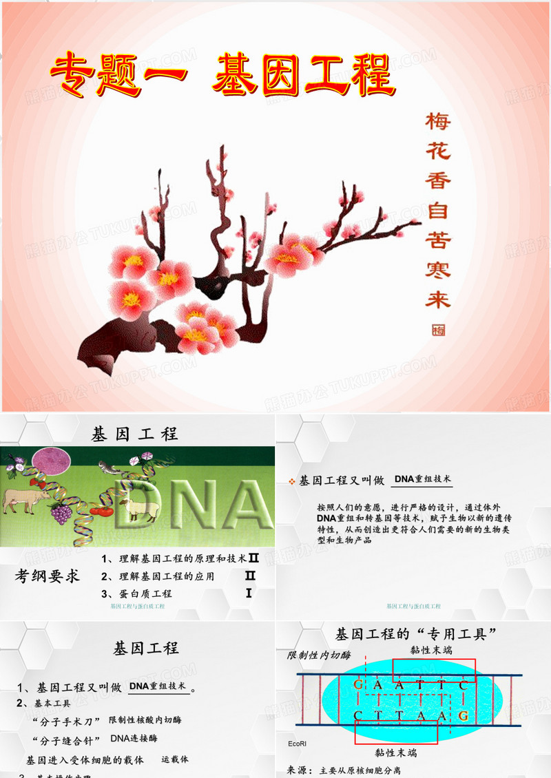 基因工程与蛋白质工程