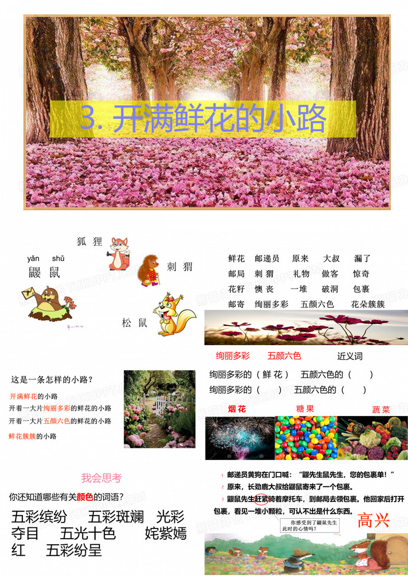 开满鲜花的小路