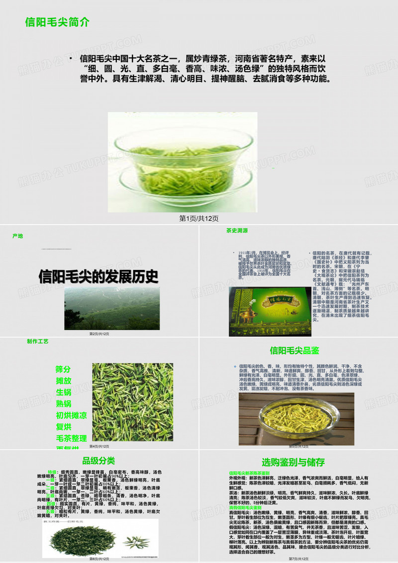 信阳毛尖PPT课件