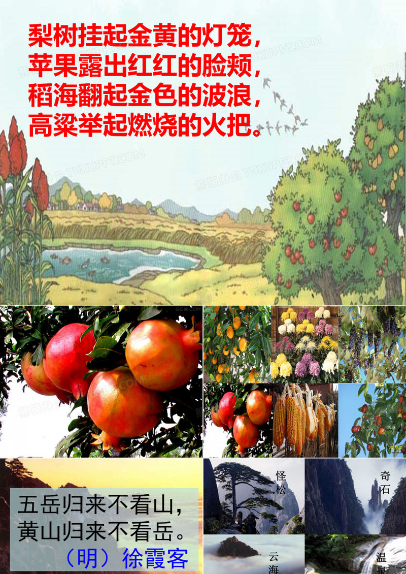 黄山奇石课件