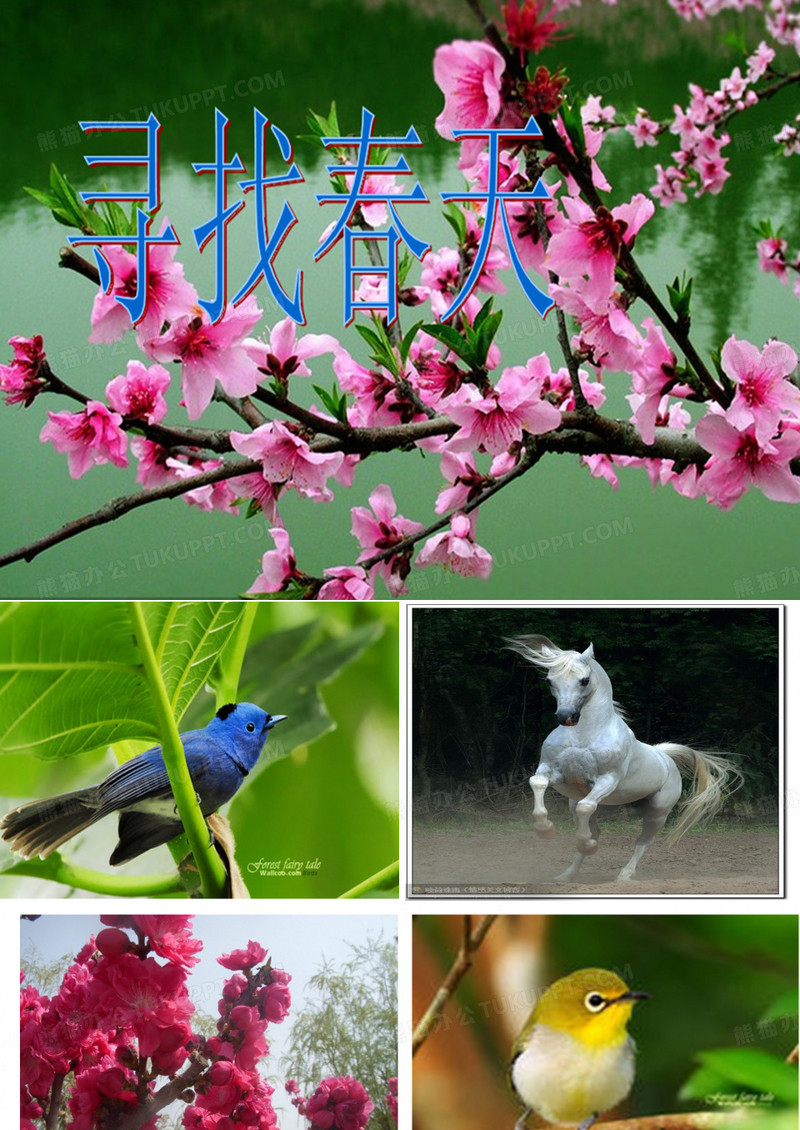 《寻找春天》课件