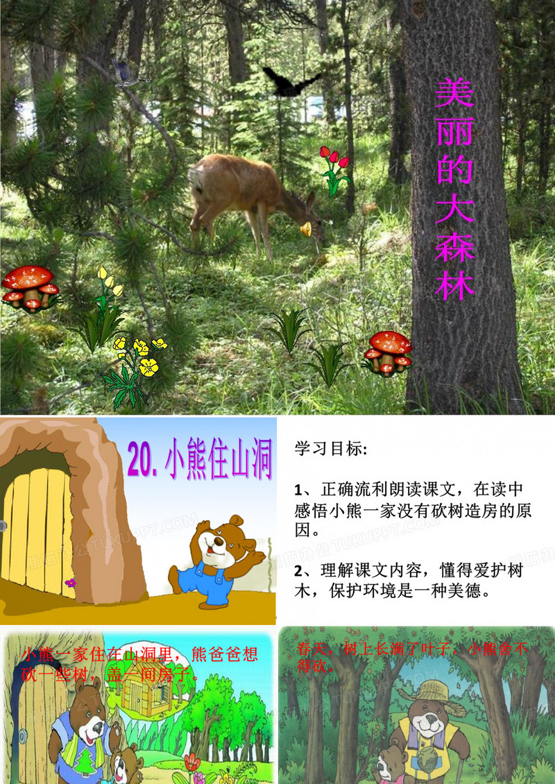 小熊住山洞