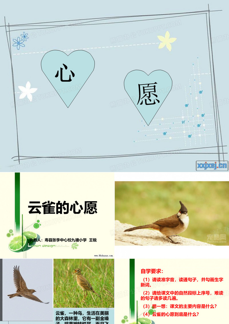 云雀的心愿 PPT