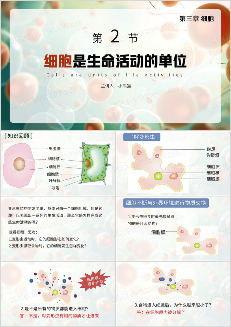简约风细胞是生命活动的基本单位PPT模板