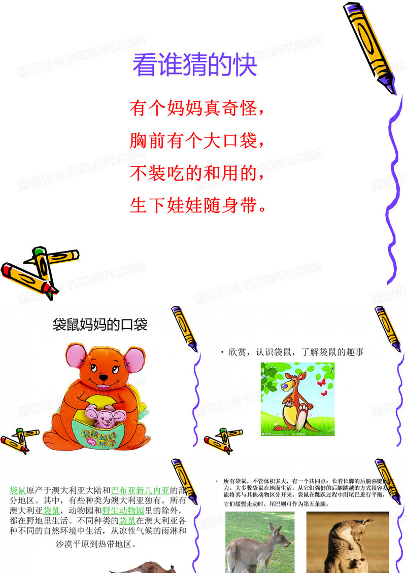 袋鼠妈妈的口袋