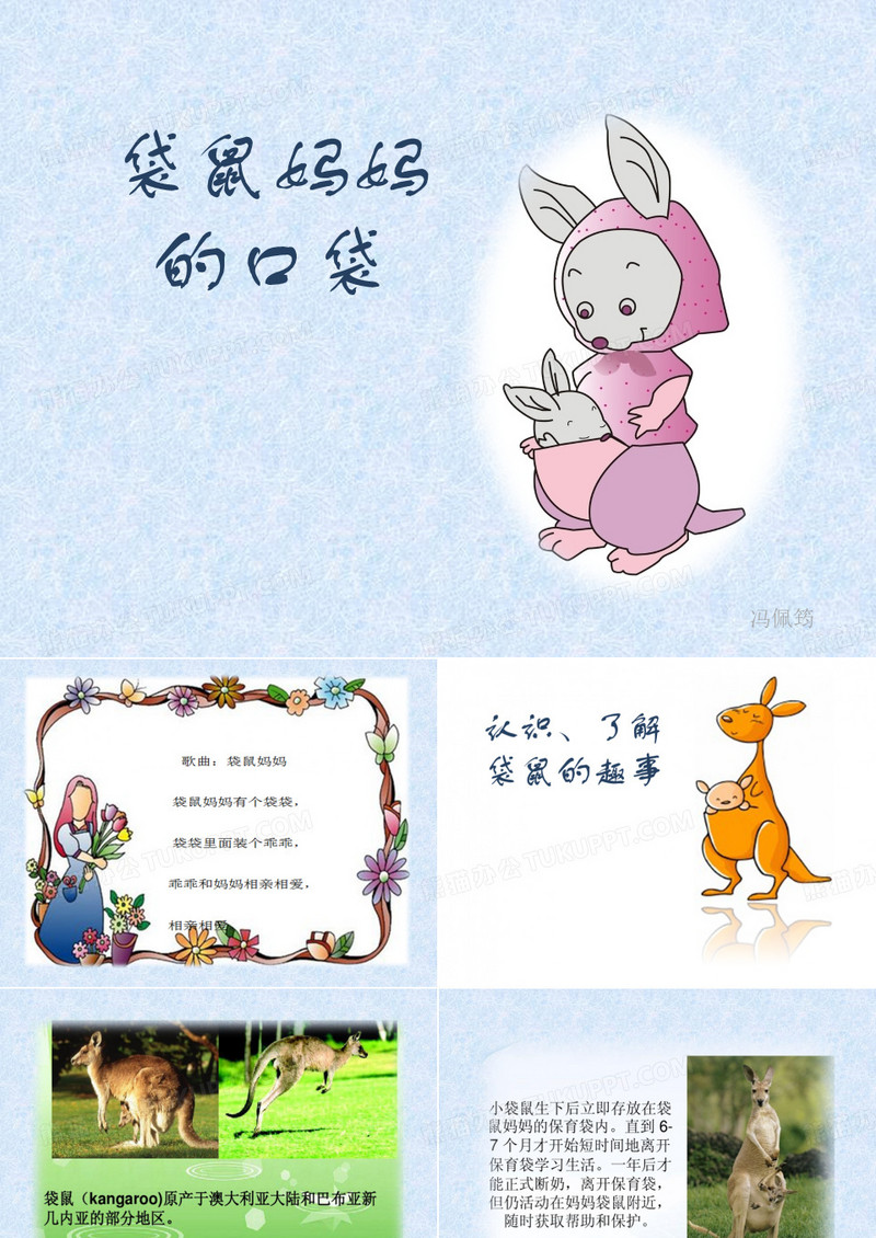 《袋鼠妈妈的口袋》