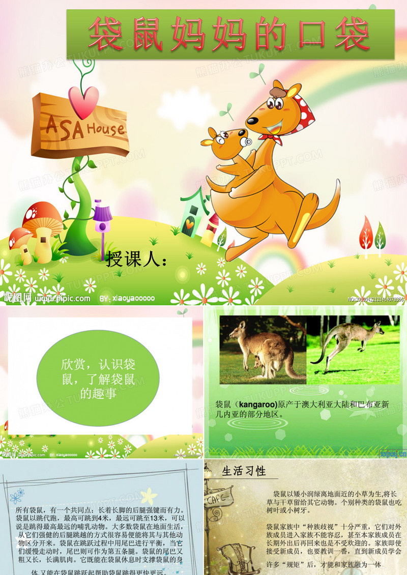 袋鼠妈妈的口袋