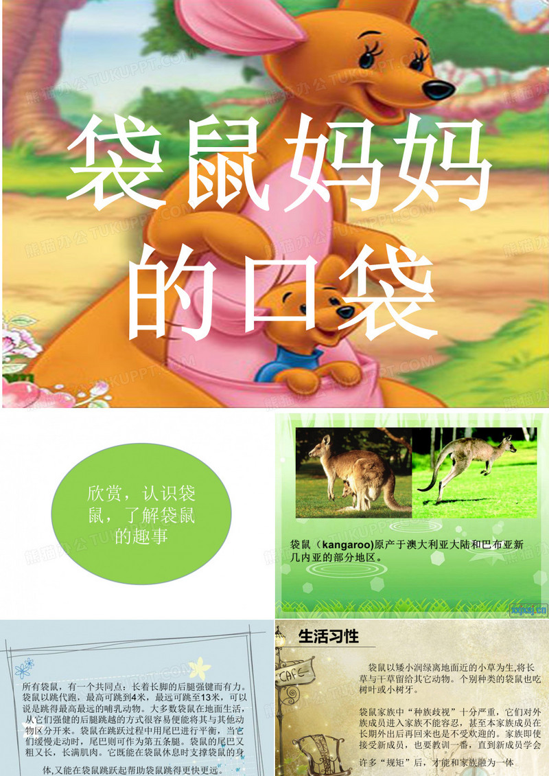 袋鼠妈妈的口袋
