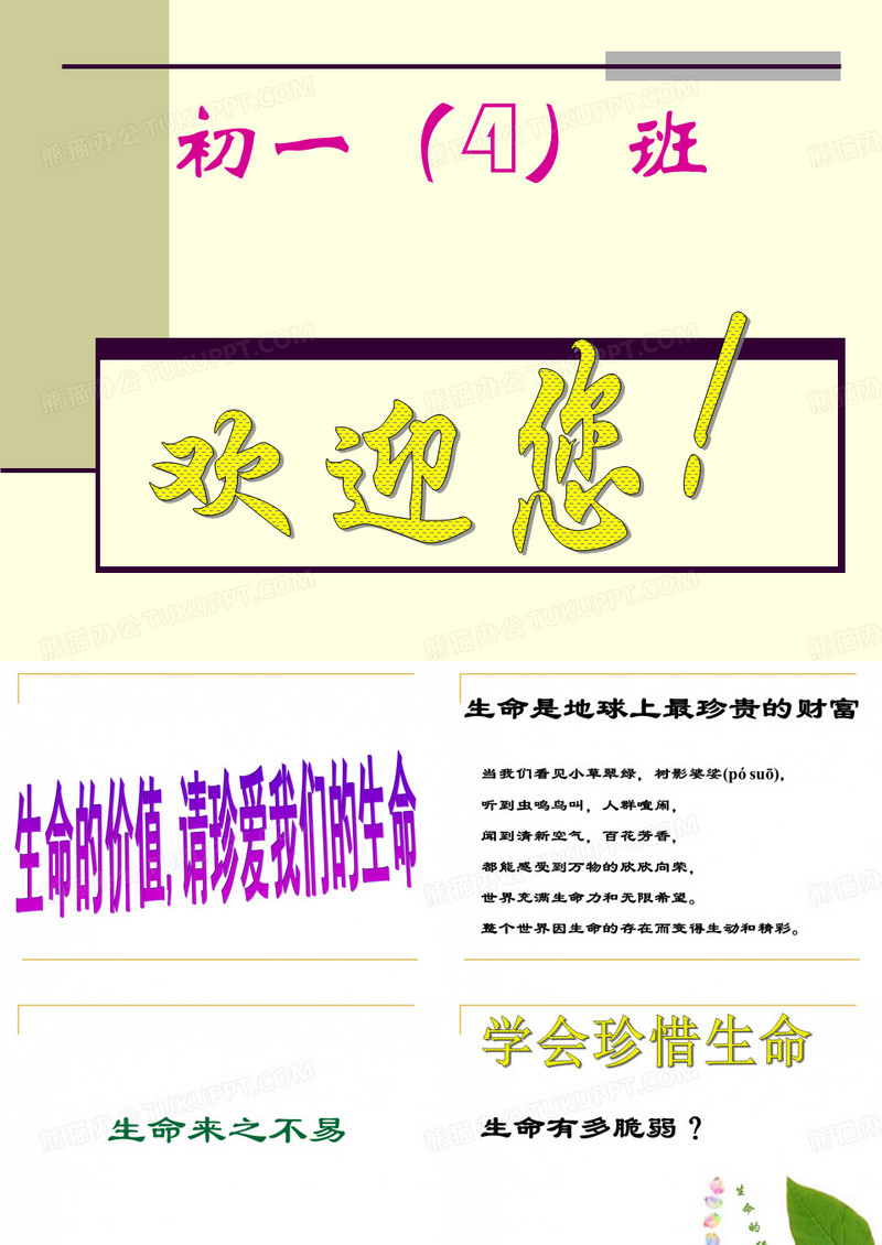 生命的价值