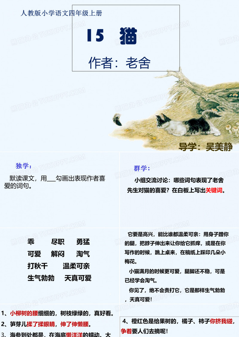 老舍《猫》
