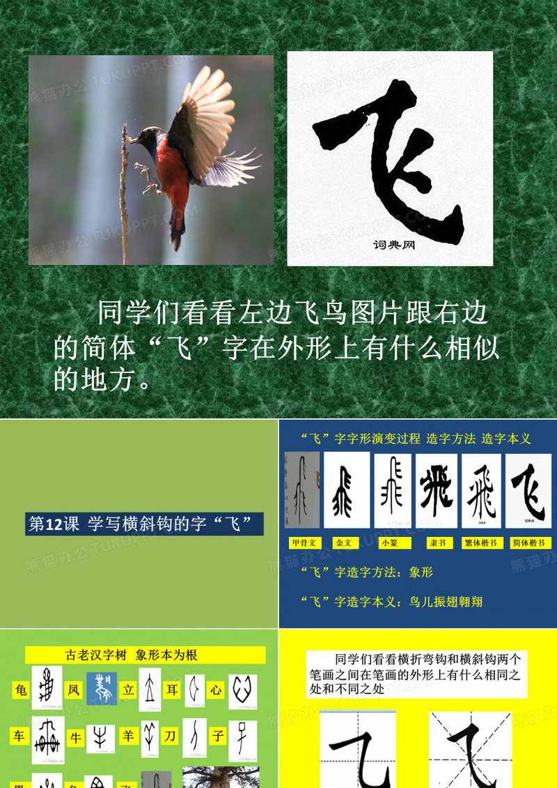 一上写字课件 学写有横斜钩的字“飞”部编本
