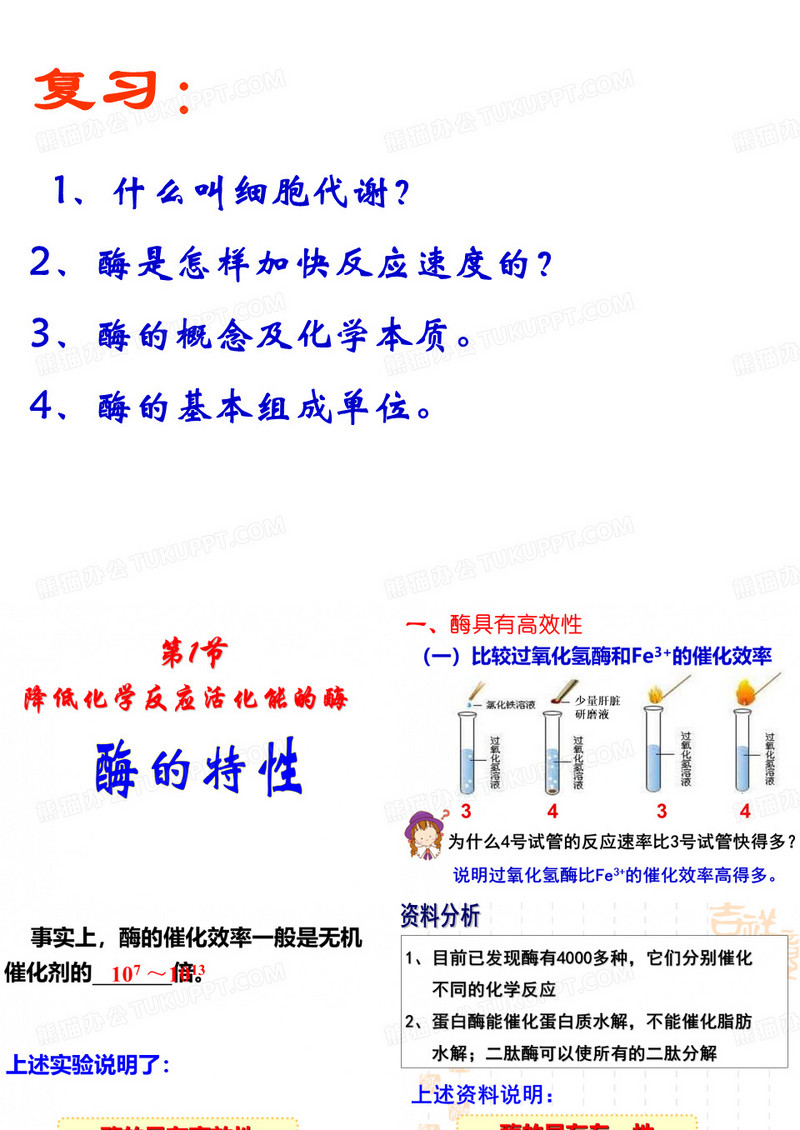 酶的特性