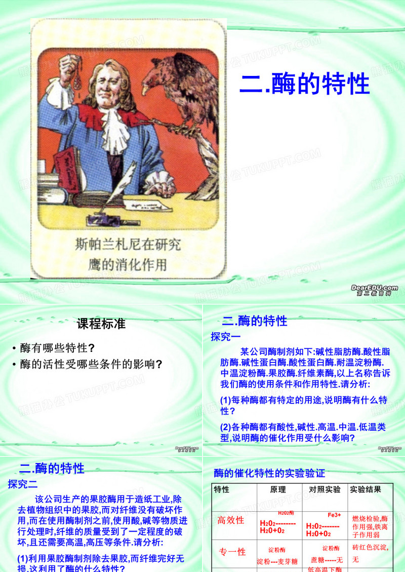 酶的特性