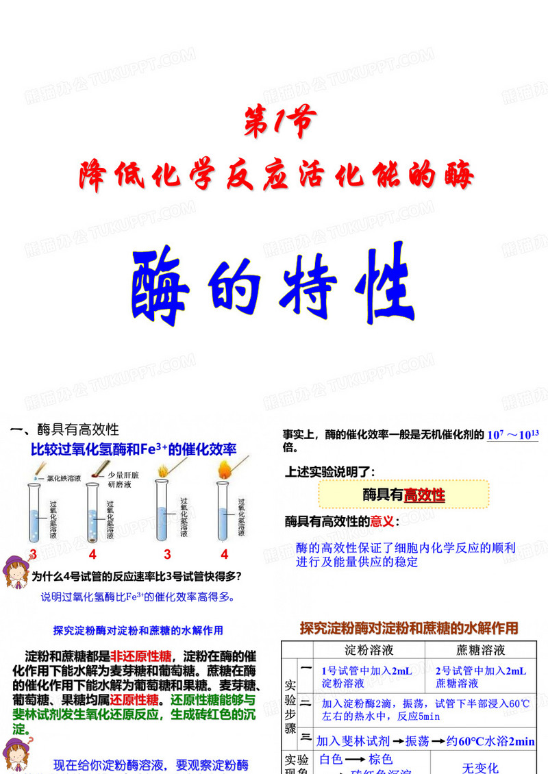 酶的特性
