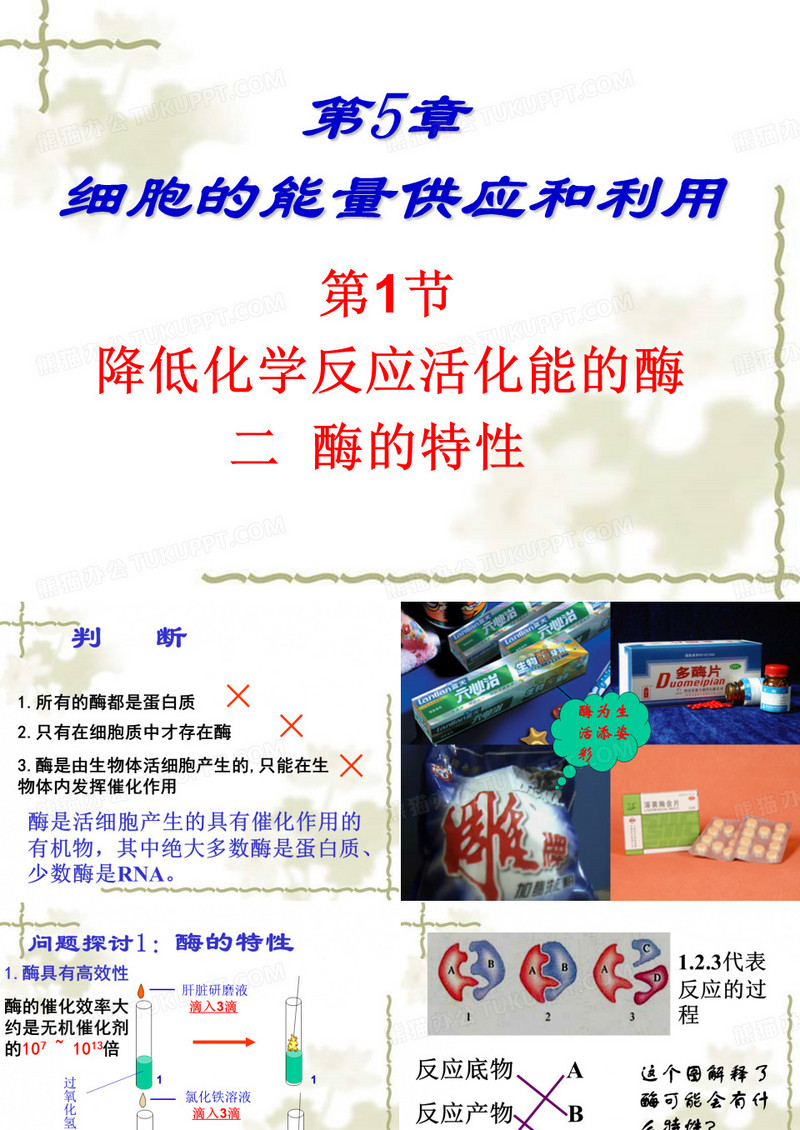 酶的特性