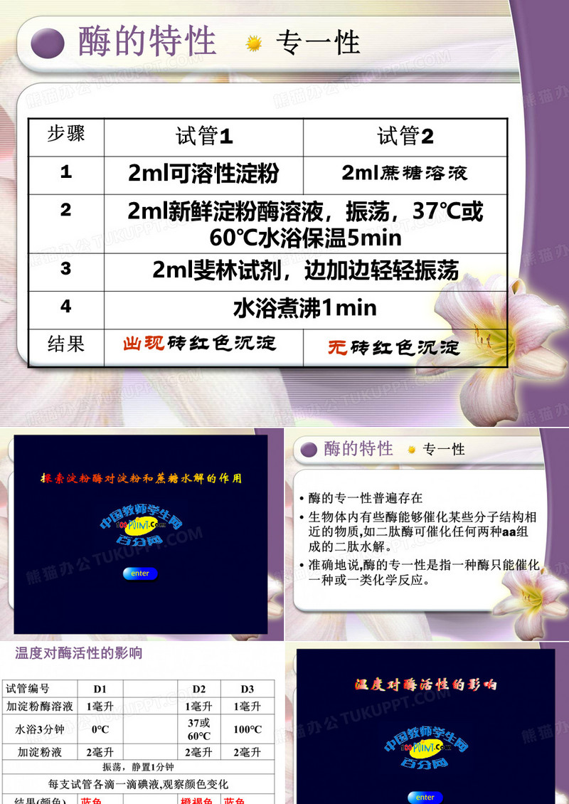 酶的特性