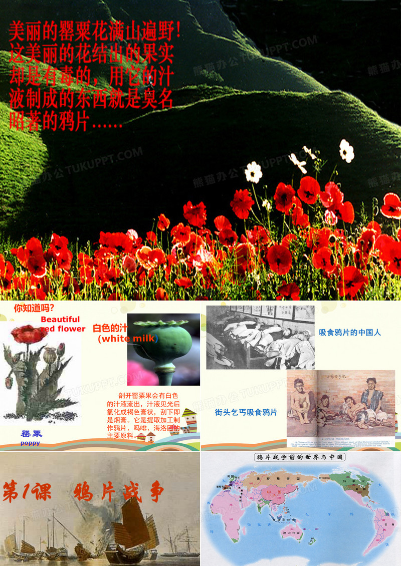 第一次鸦片战争 完整版PPT课件